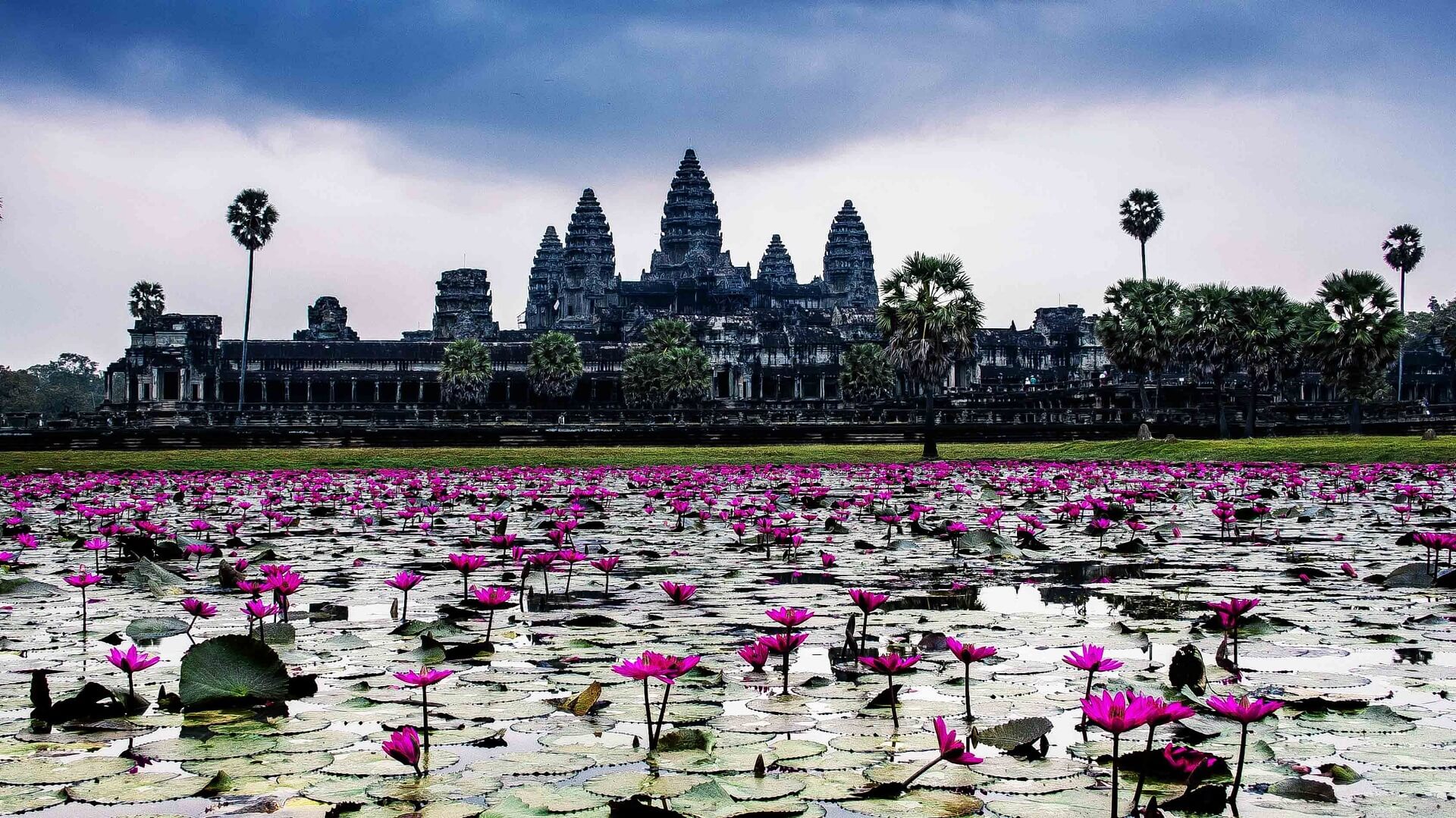 МИСТЕРИЯ! Градът на боговете Ангкор в Камбоджа, градежите на тамплиерите в Етиопия и свещените индиански градове са на един паралел