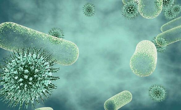 Открит е микроорганизъм, който се храни само с вируси - Halteria