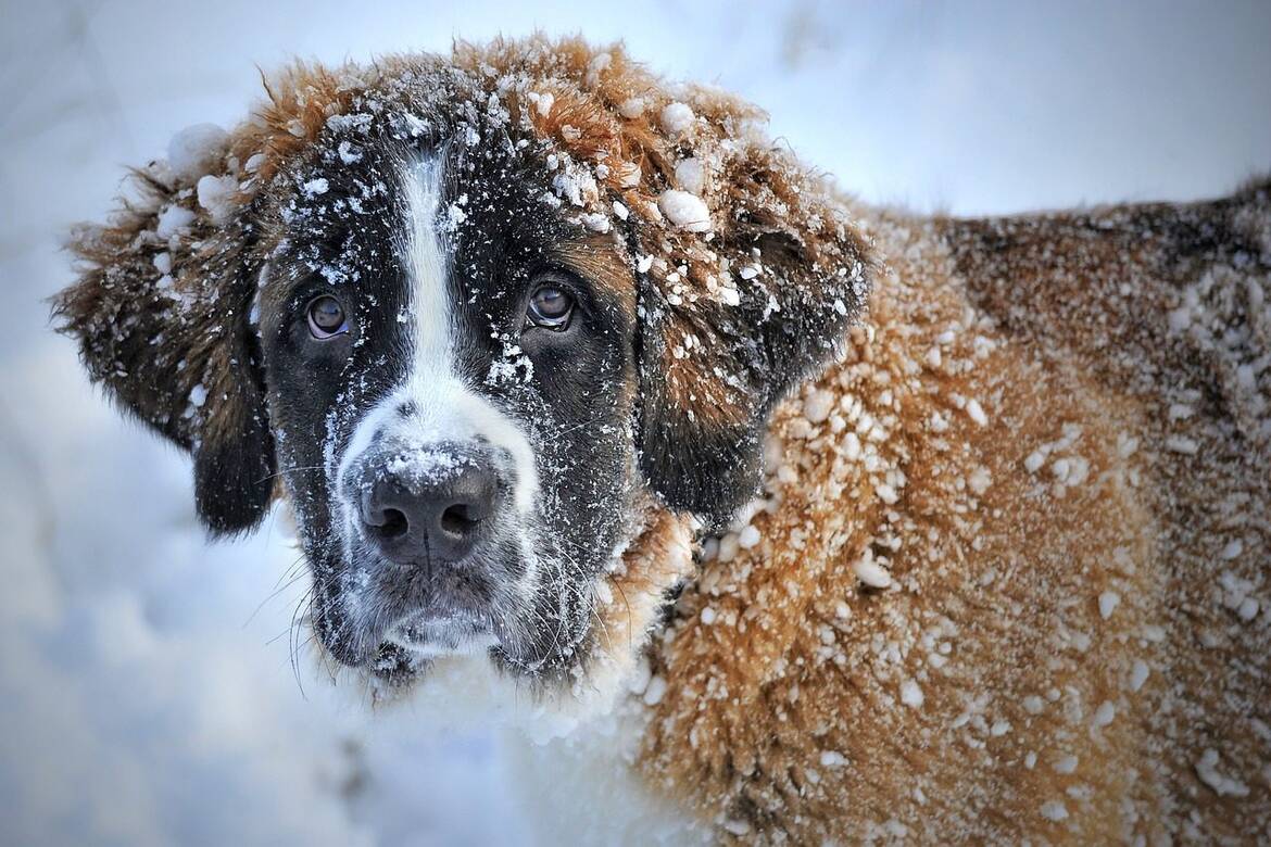 ПРОГНОЗА! В неделя нахлува кучешки студ, температурите ще се понижат значително