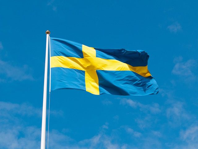 Швеция обмисля дали да дари изтребители "Грипен" на Украйна