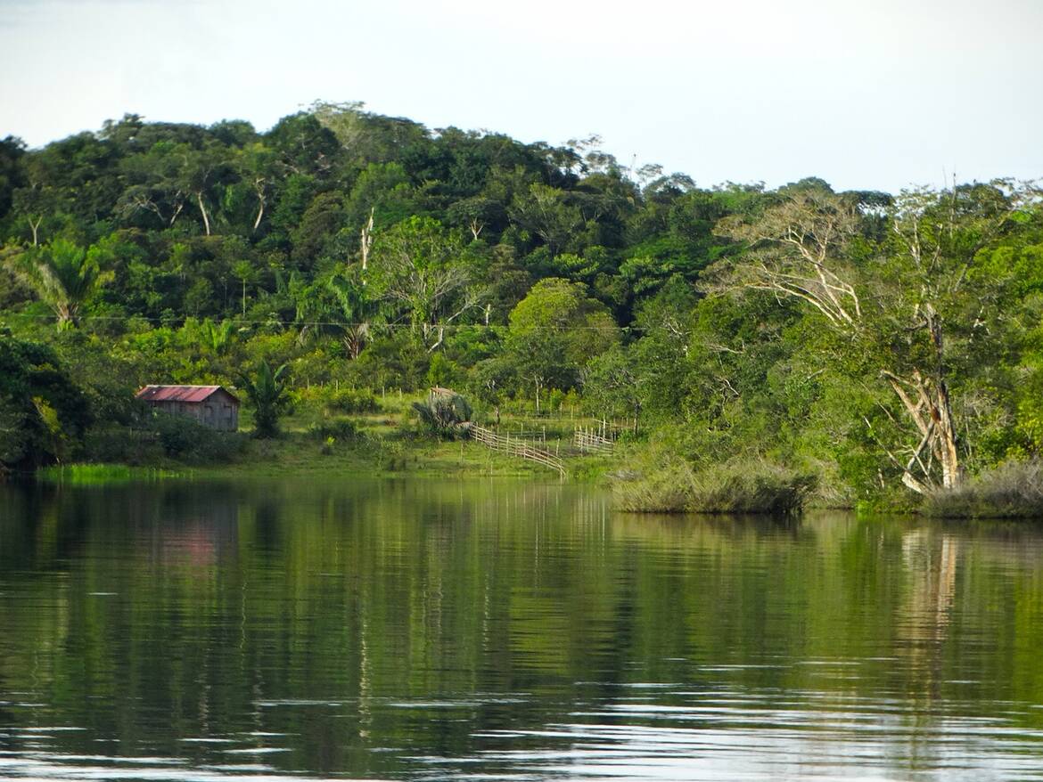 Амазонка разкри човешки лица, издълбани в камък преди около 2000 години