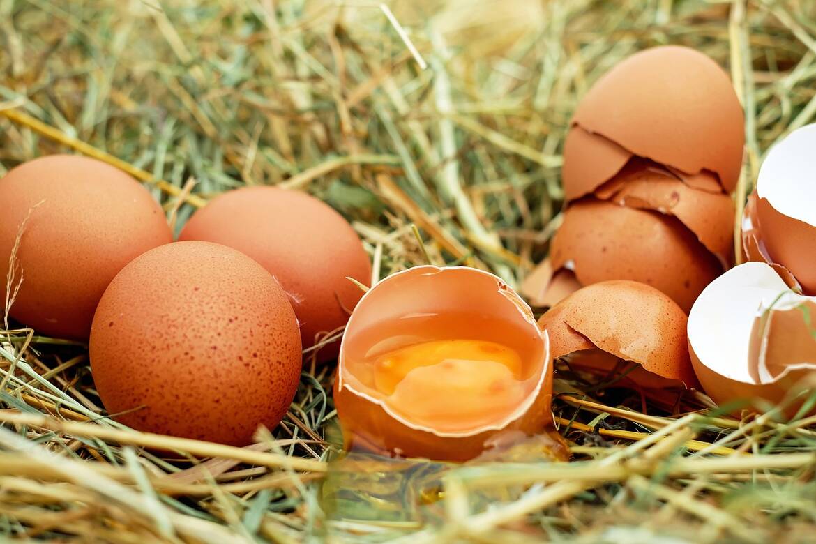 Яйцата са основен източник на протеин за отслабване