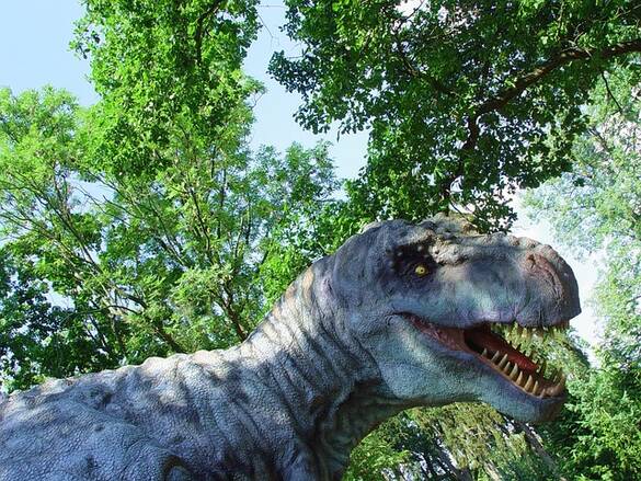 Останки на бебета динозаври са открити във вкаменелост на тиранозавър